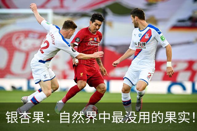 银杏果：自然界中最没用的果实！结果再多也一样沦为保护植物